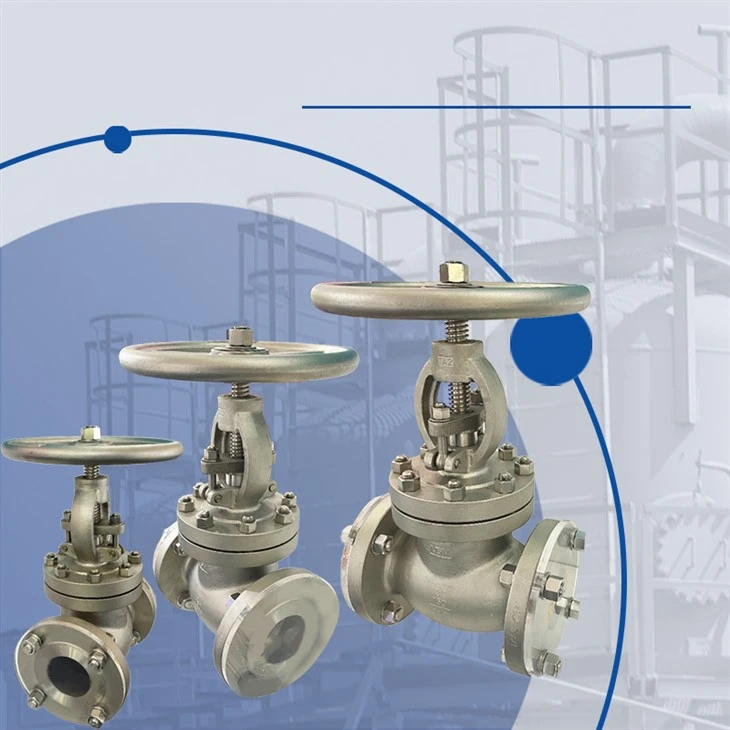ASME Class150 FlangeTitanium Globe Valve